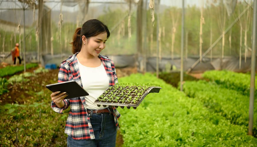 AgroEnGoldCapital