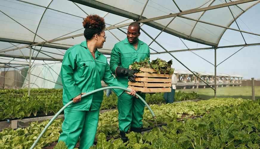 AgroEnGoldCapital