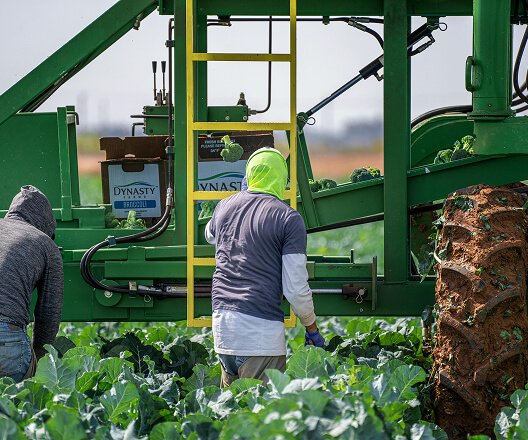 AgroEnGoldCapital